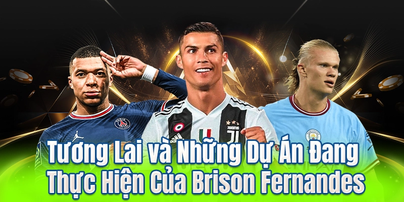 Tương Lai và Những Dự Án Đang Thực Hiện Của Brison Fernandes